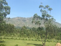 Scenic Maragoli hills from the balcony