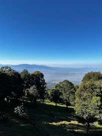 View from the room