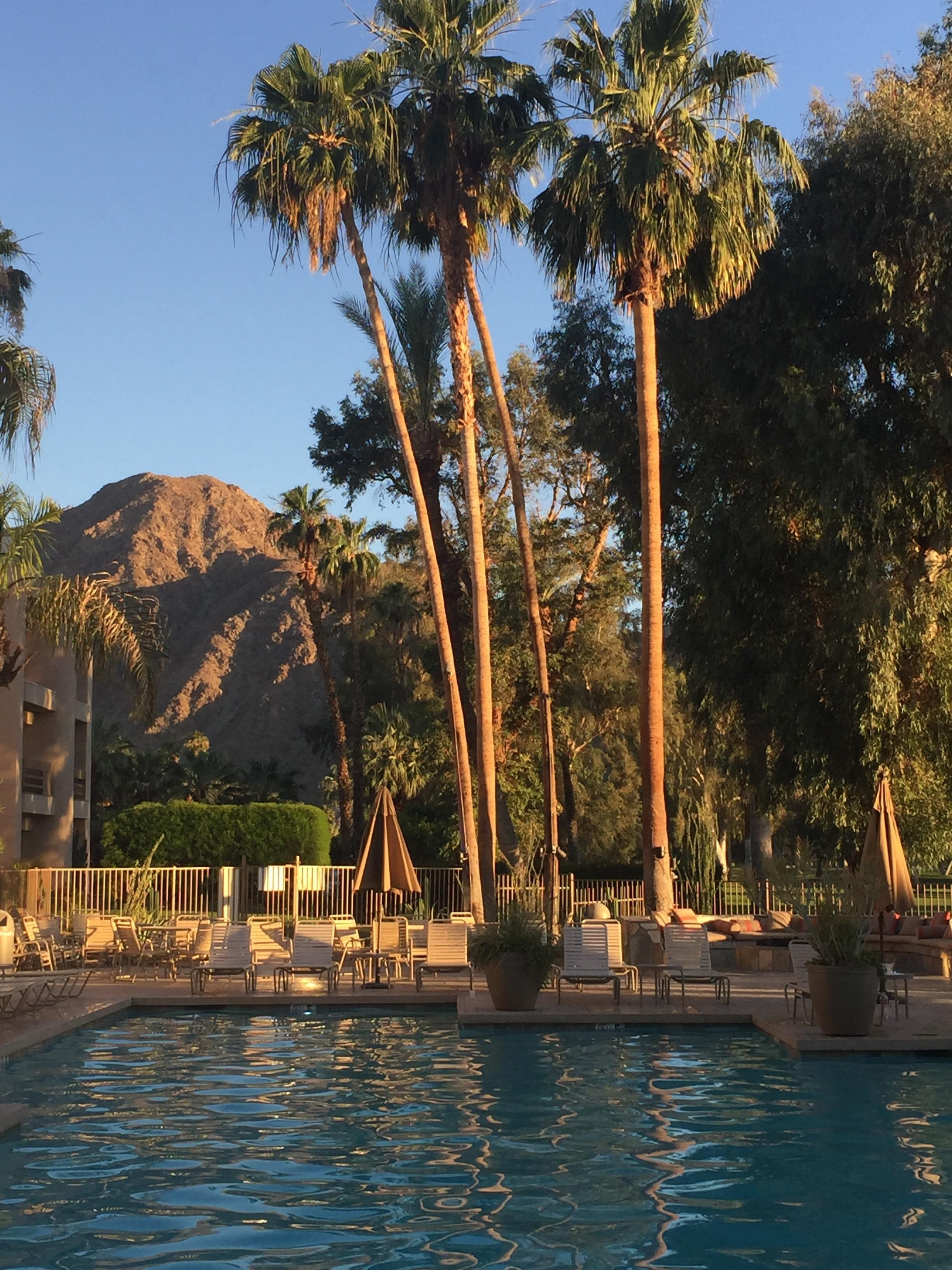 Beautiful palms