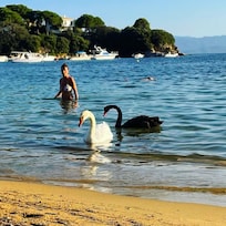 På Kolios beach.