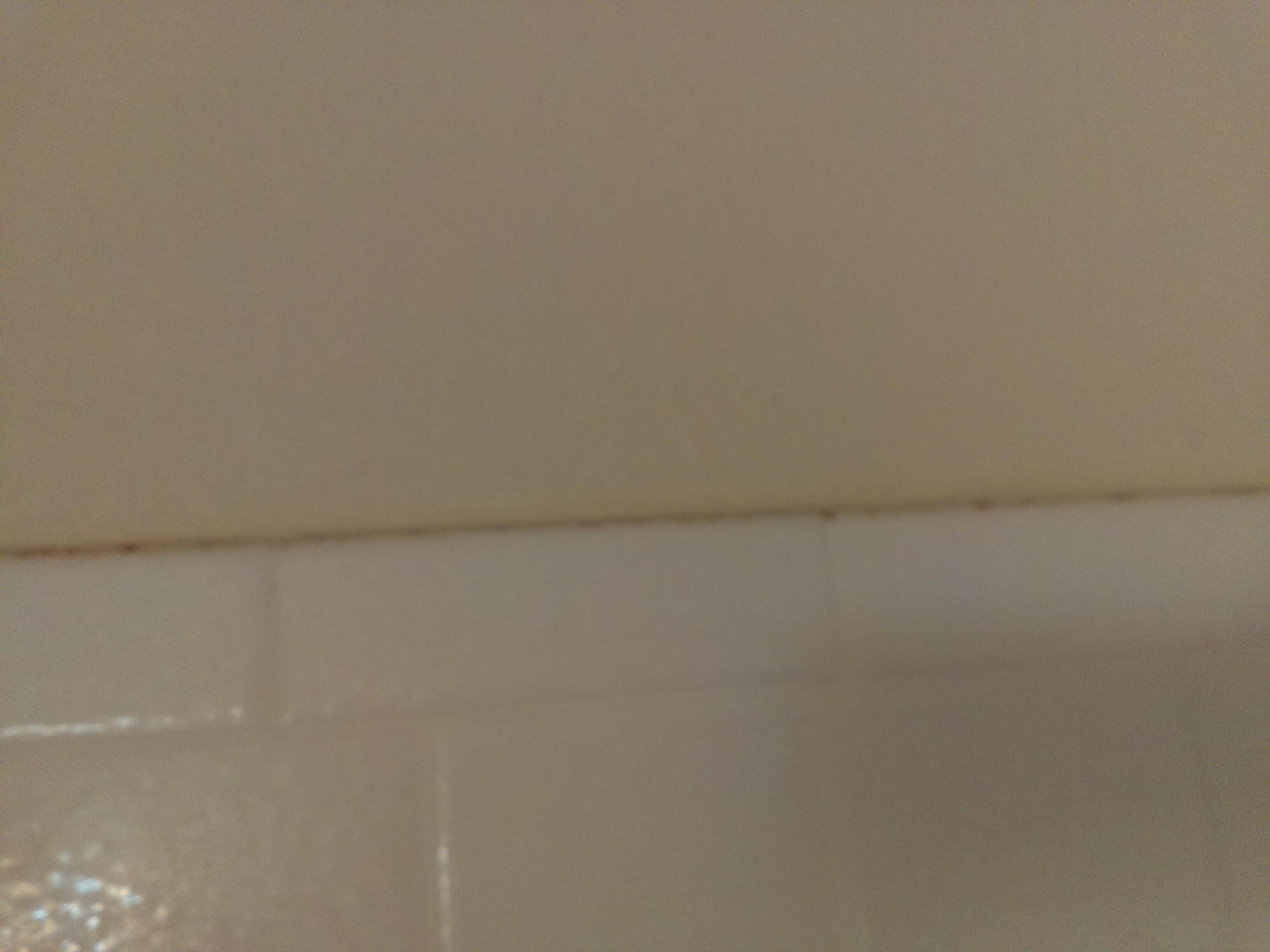 Black at top of shower