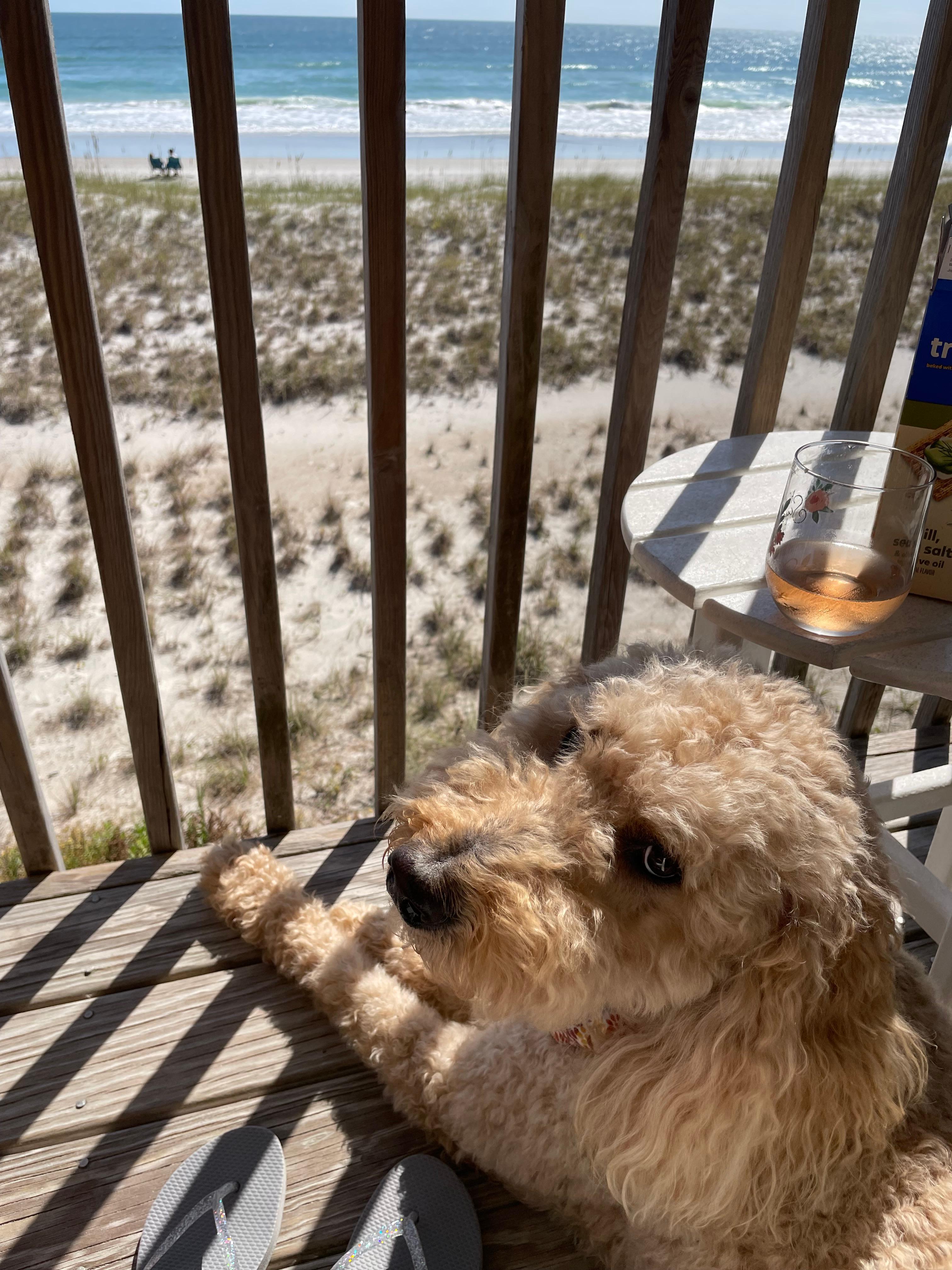 Wine on the balcony. 