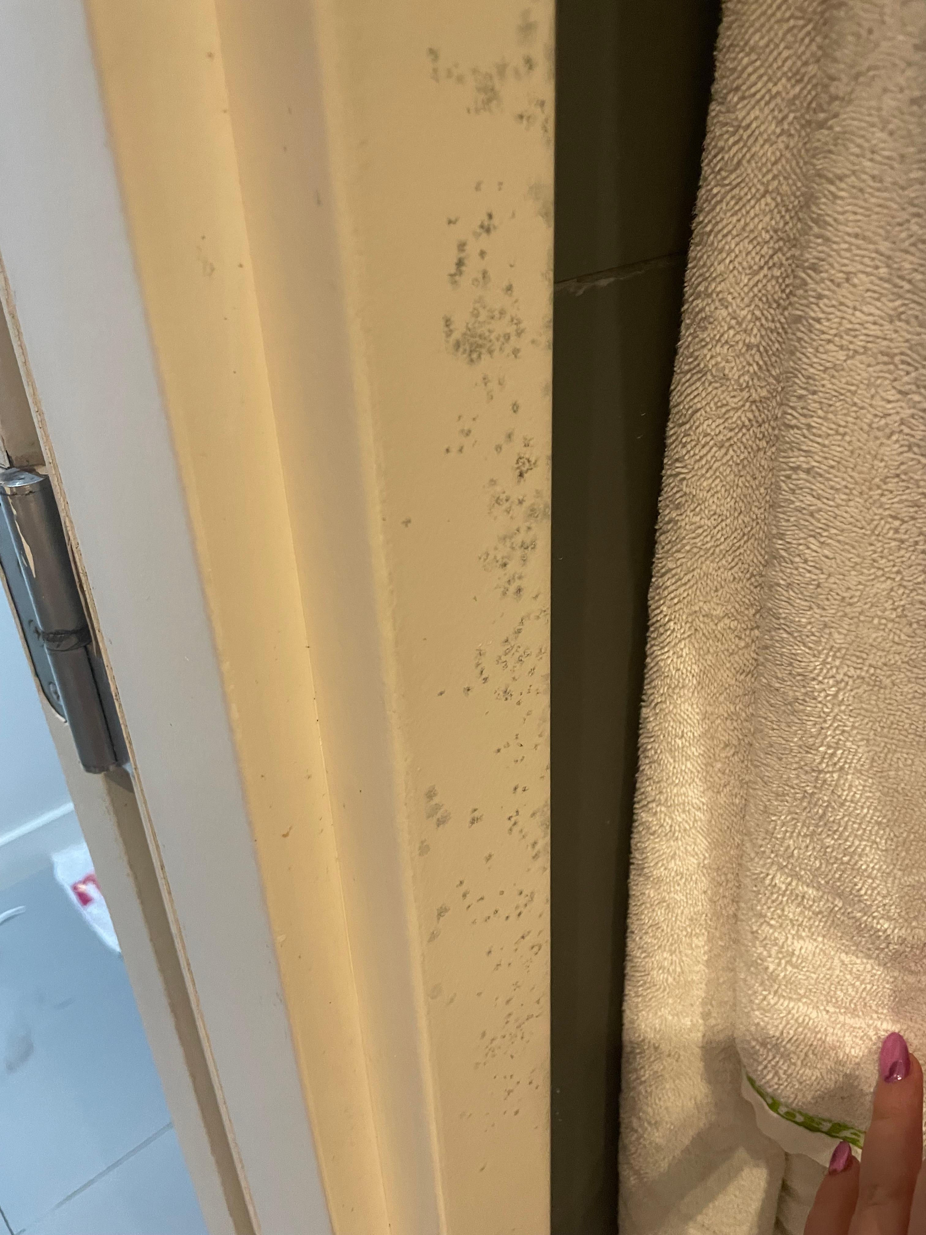 Black mold in bathroom 