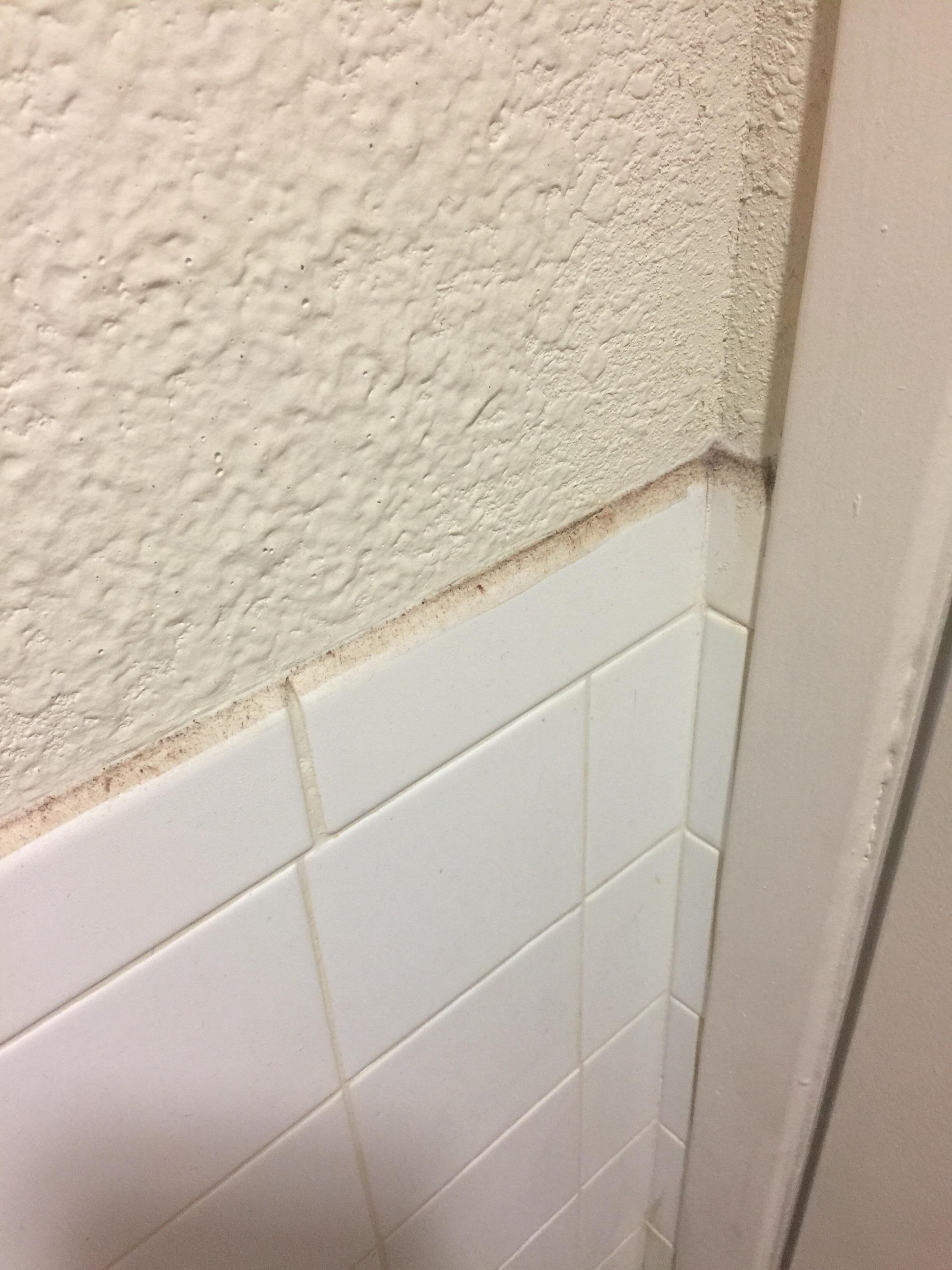 Stained, filthy carpet