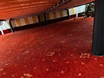 Fnuller under sengen