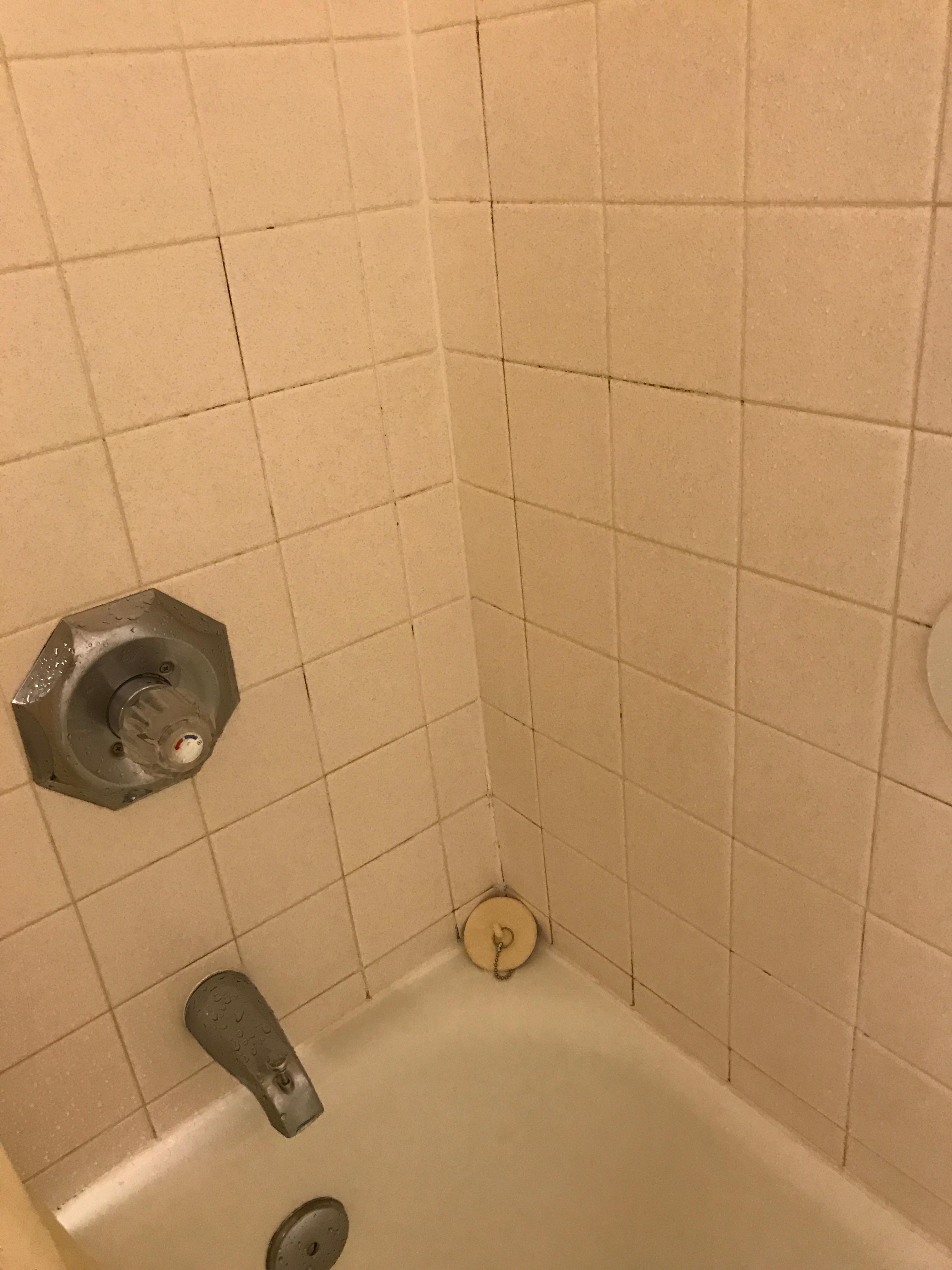 Mold and mildew