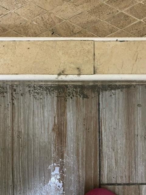 Mold on bathroom floor