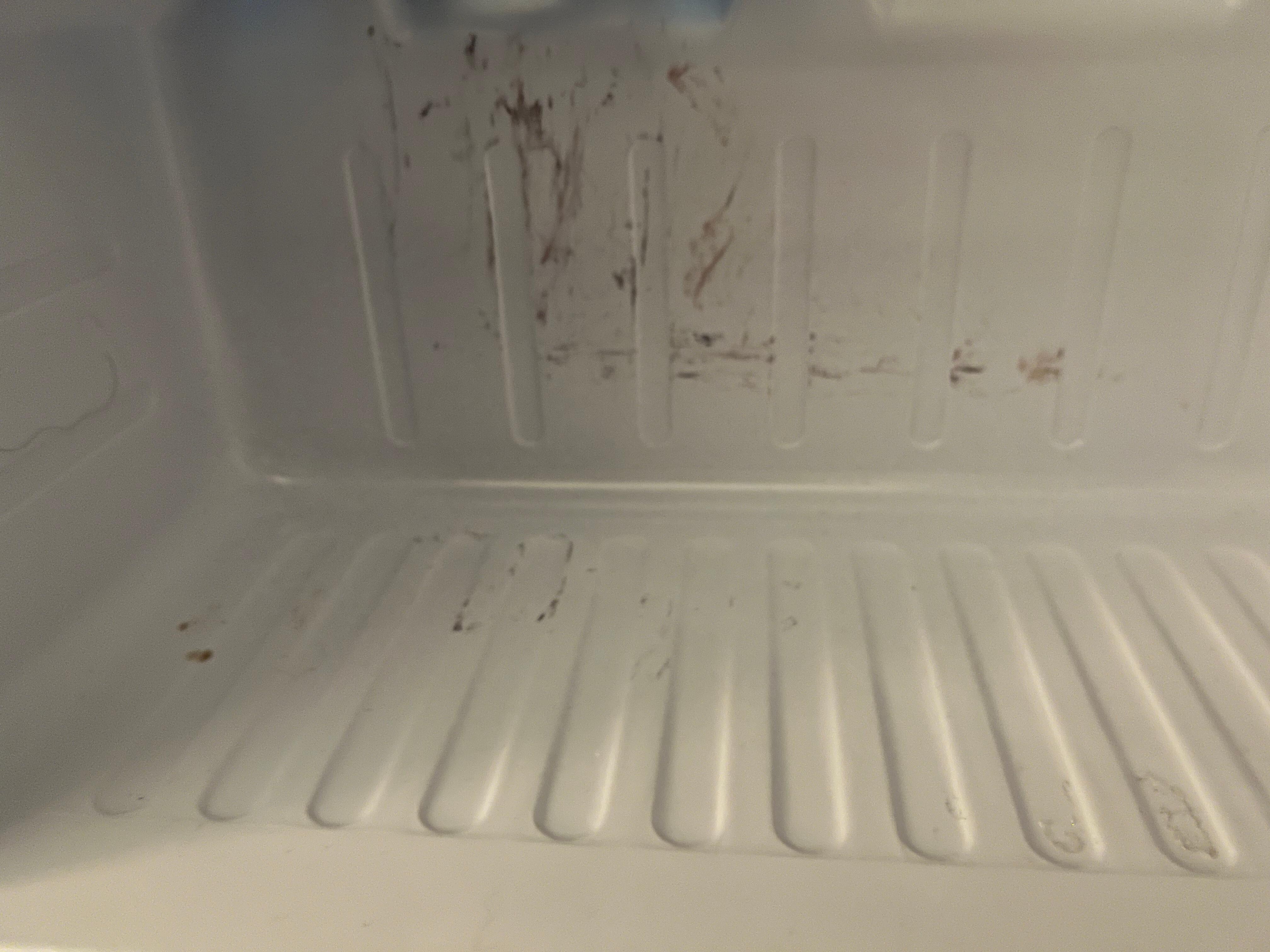 Mold in fridge 