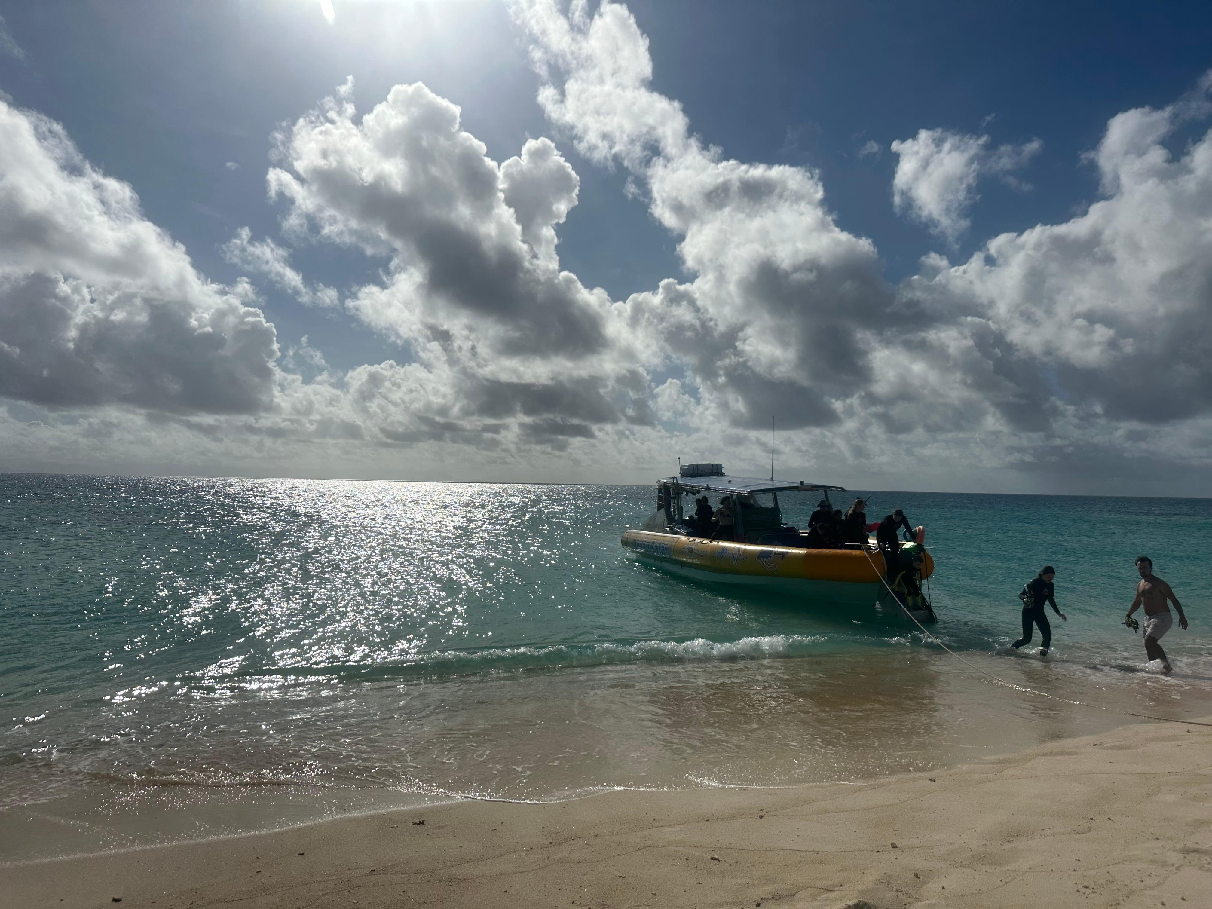 Ocean Safari tours at Mackay Cay