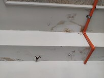 The view from my bed.