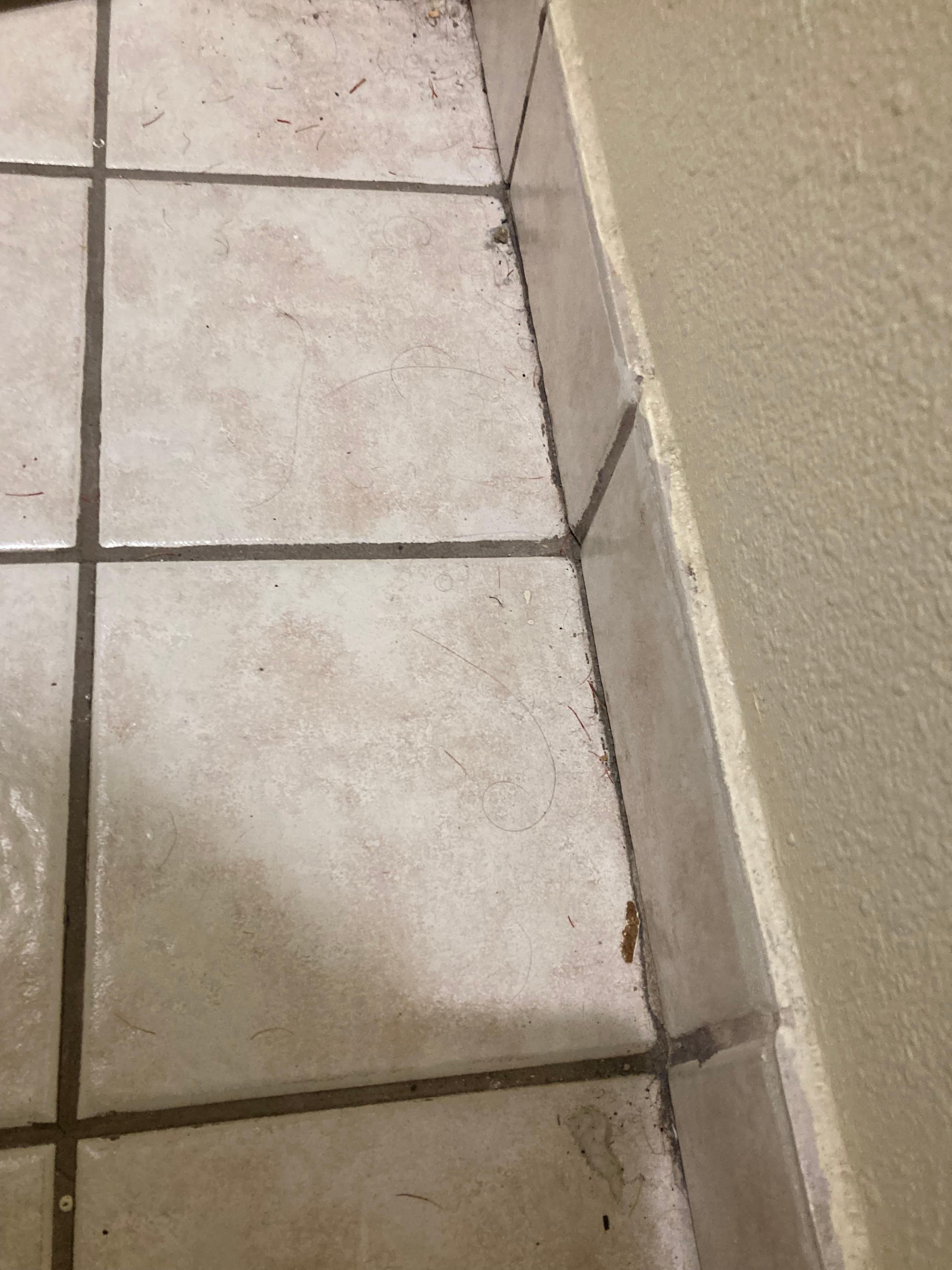 Other people hair, don’t tell me that was cleaned recently