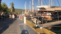 Ports