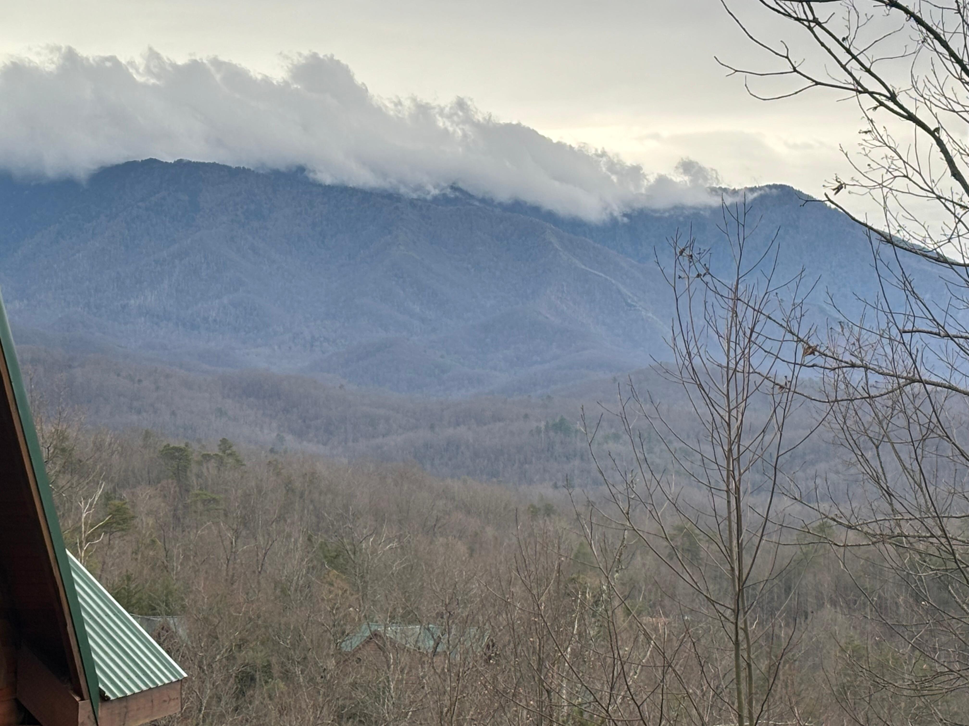 Cabin View