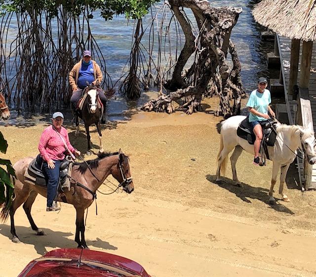 Beach riding nearby