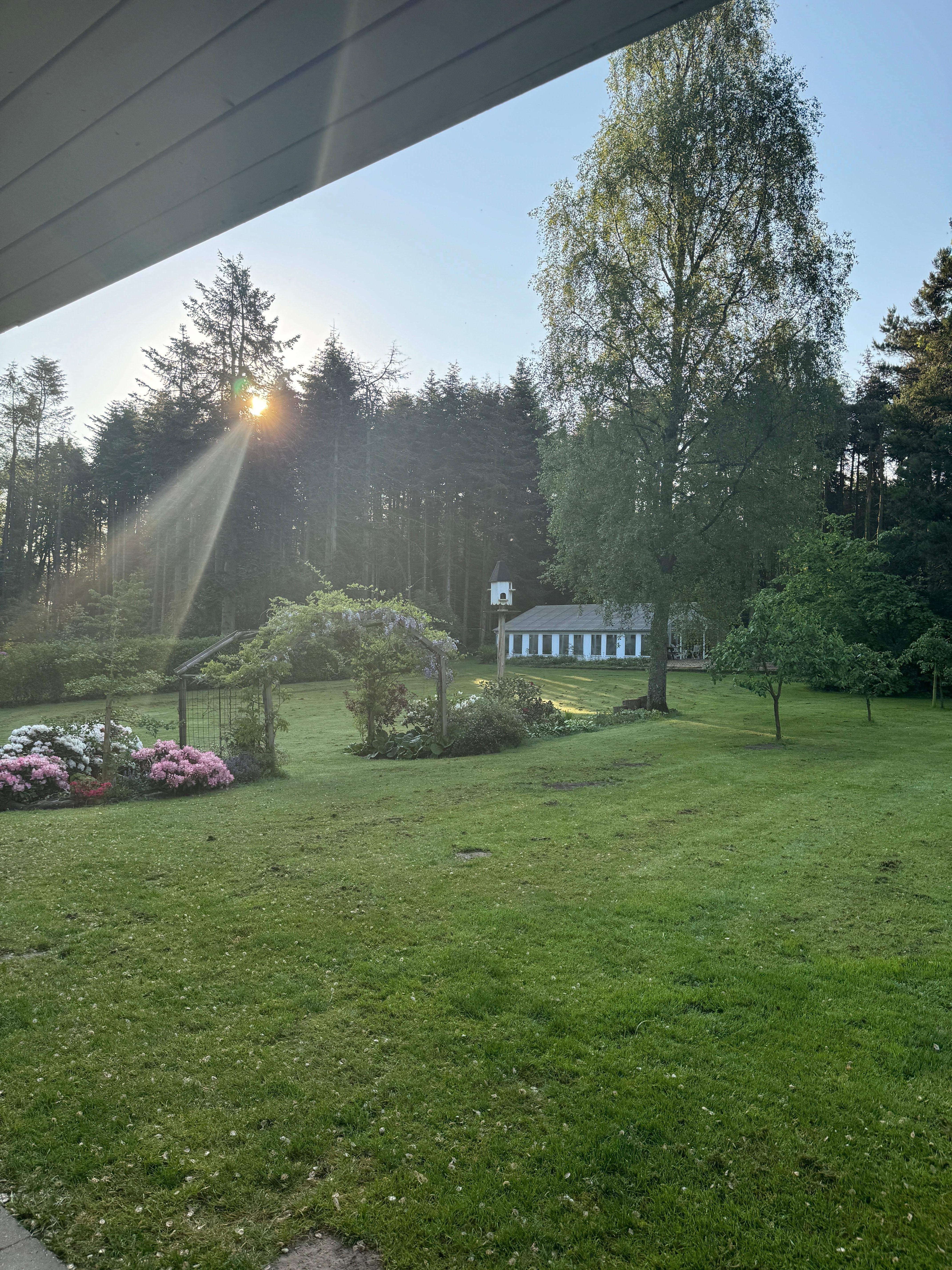 Morgenstund har guld i mund