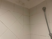 Mould in bathroom