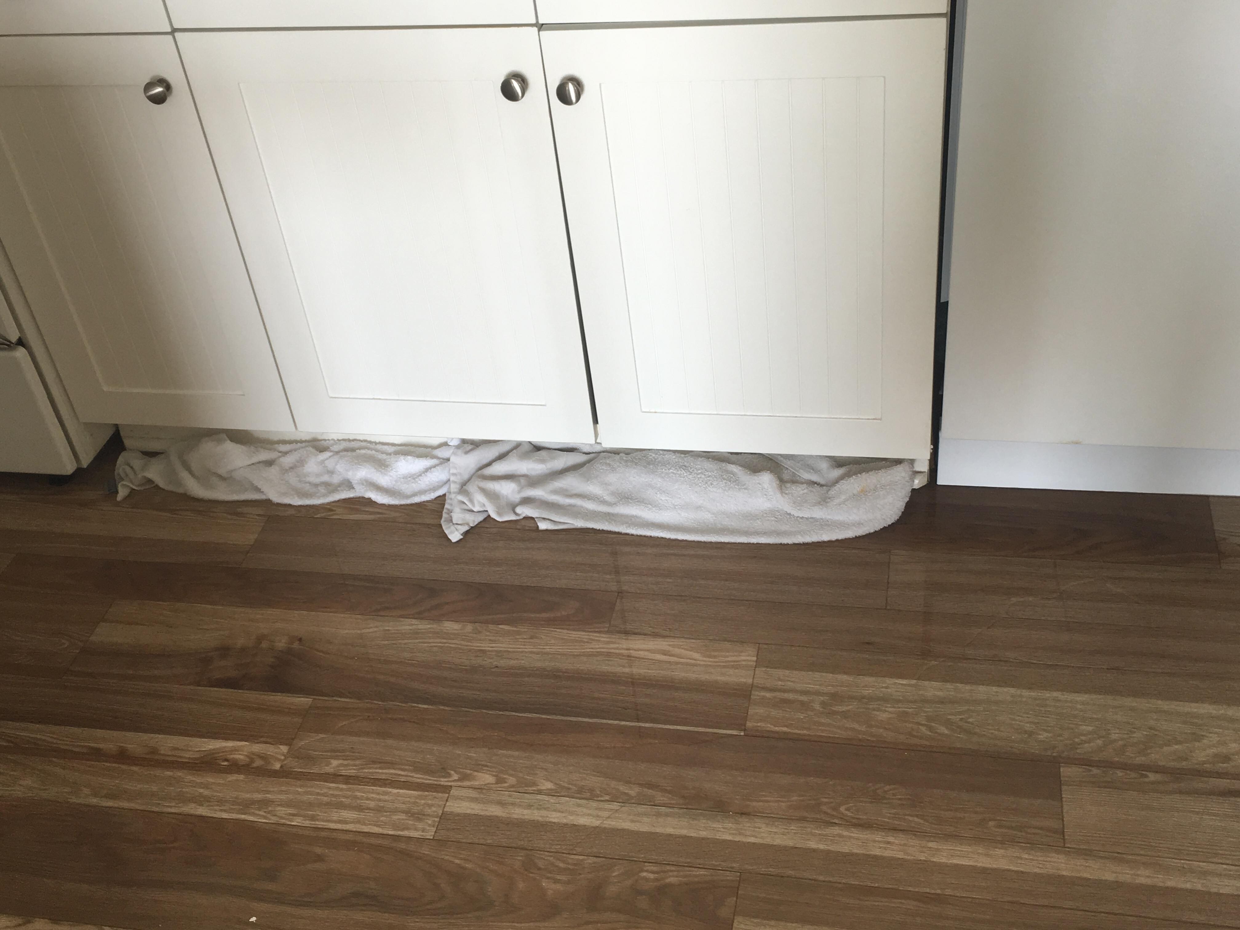 We had a puddle of water in the kitchen