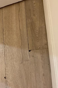 Mold under bedroom floor from actively standing water.