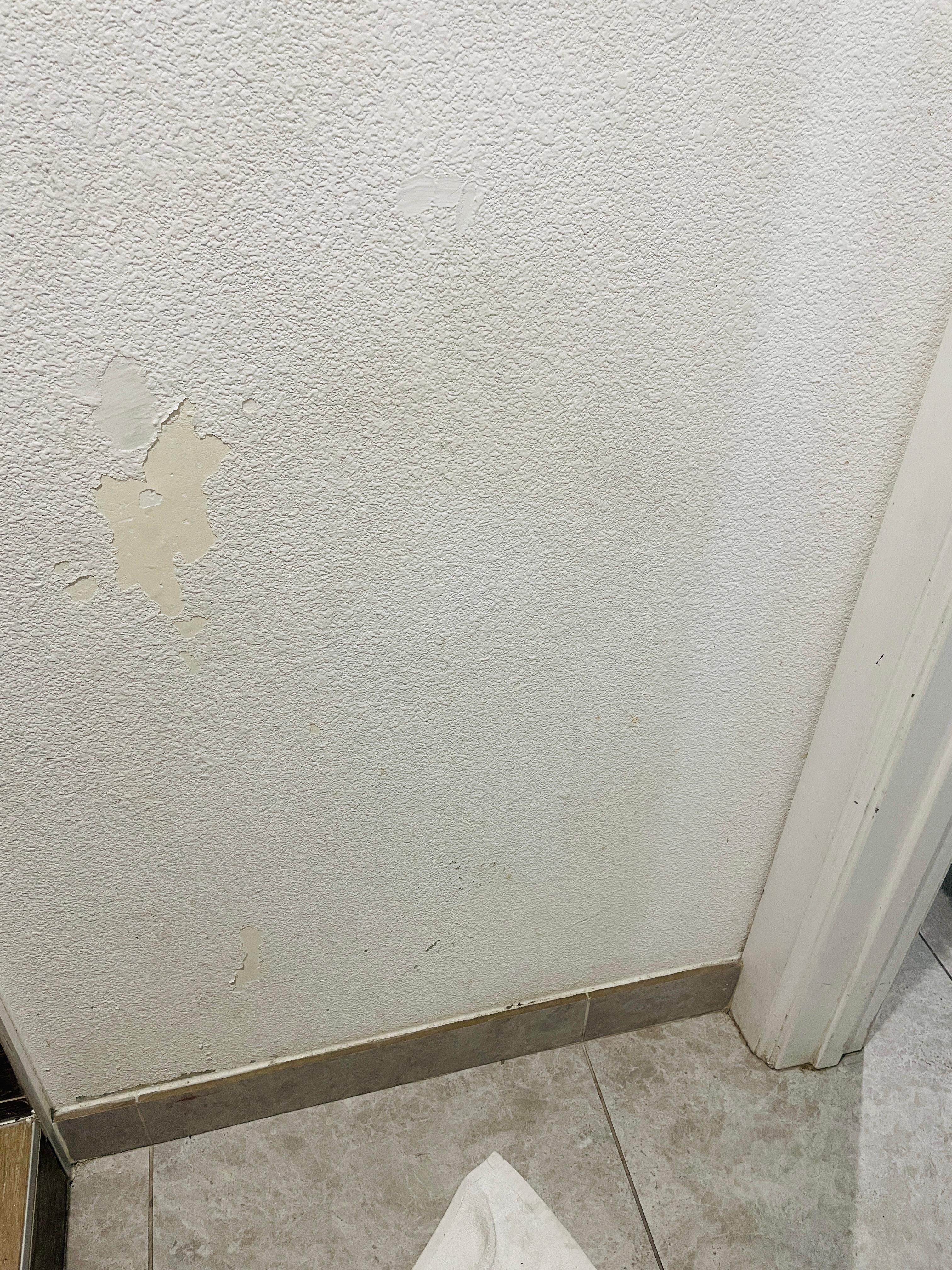 Floorboards were lined with grossness.