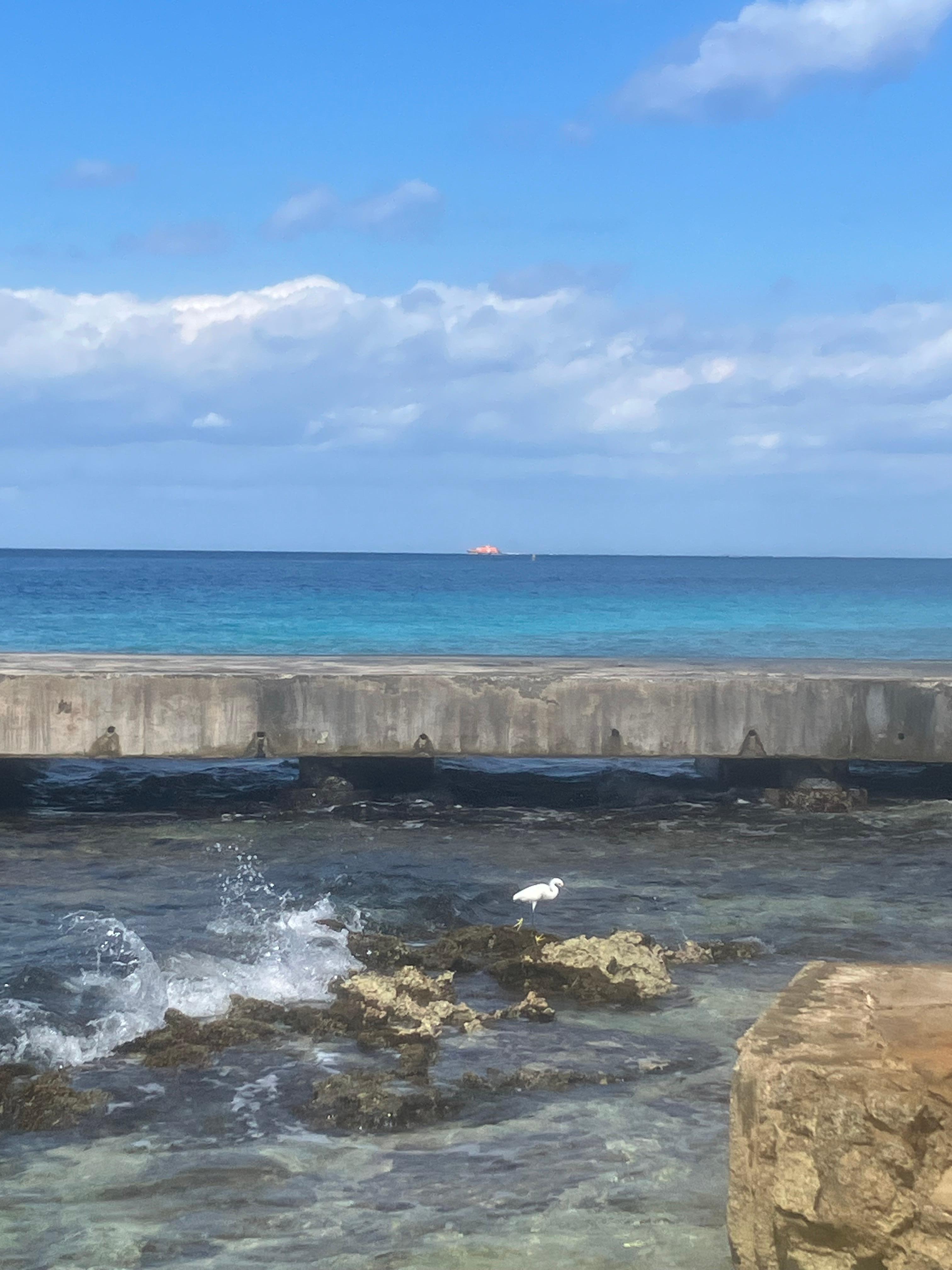 Beach across the street.