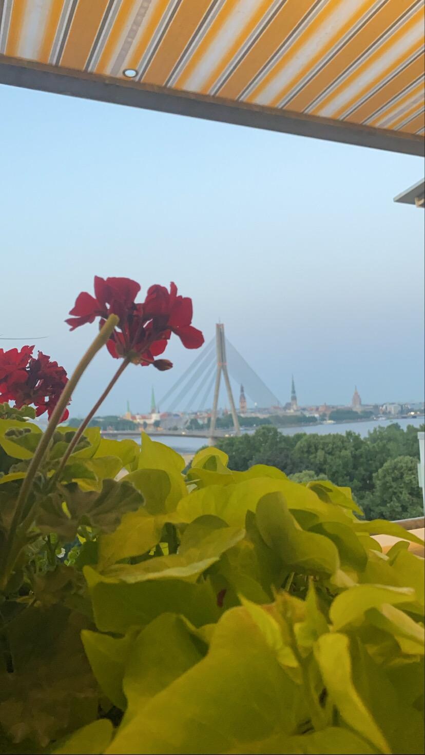 View of a bridge to old town from the roof terrace 