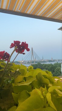 View of a bridge to old town from the roof terrace