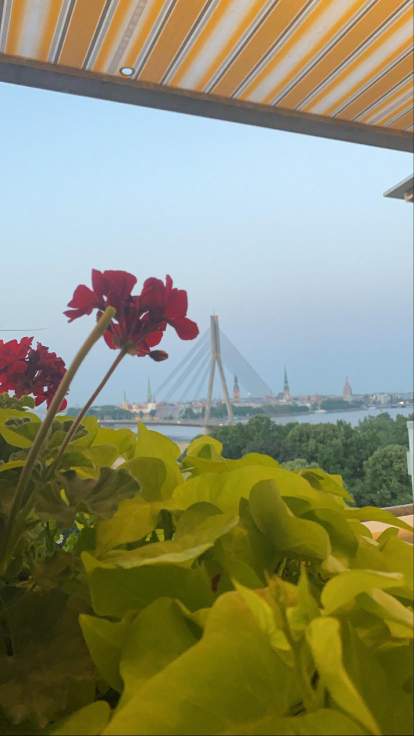 View of a bridge to old town from the roof terrace 