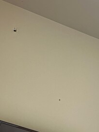 Mur