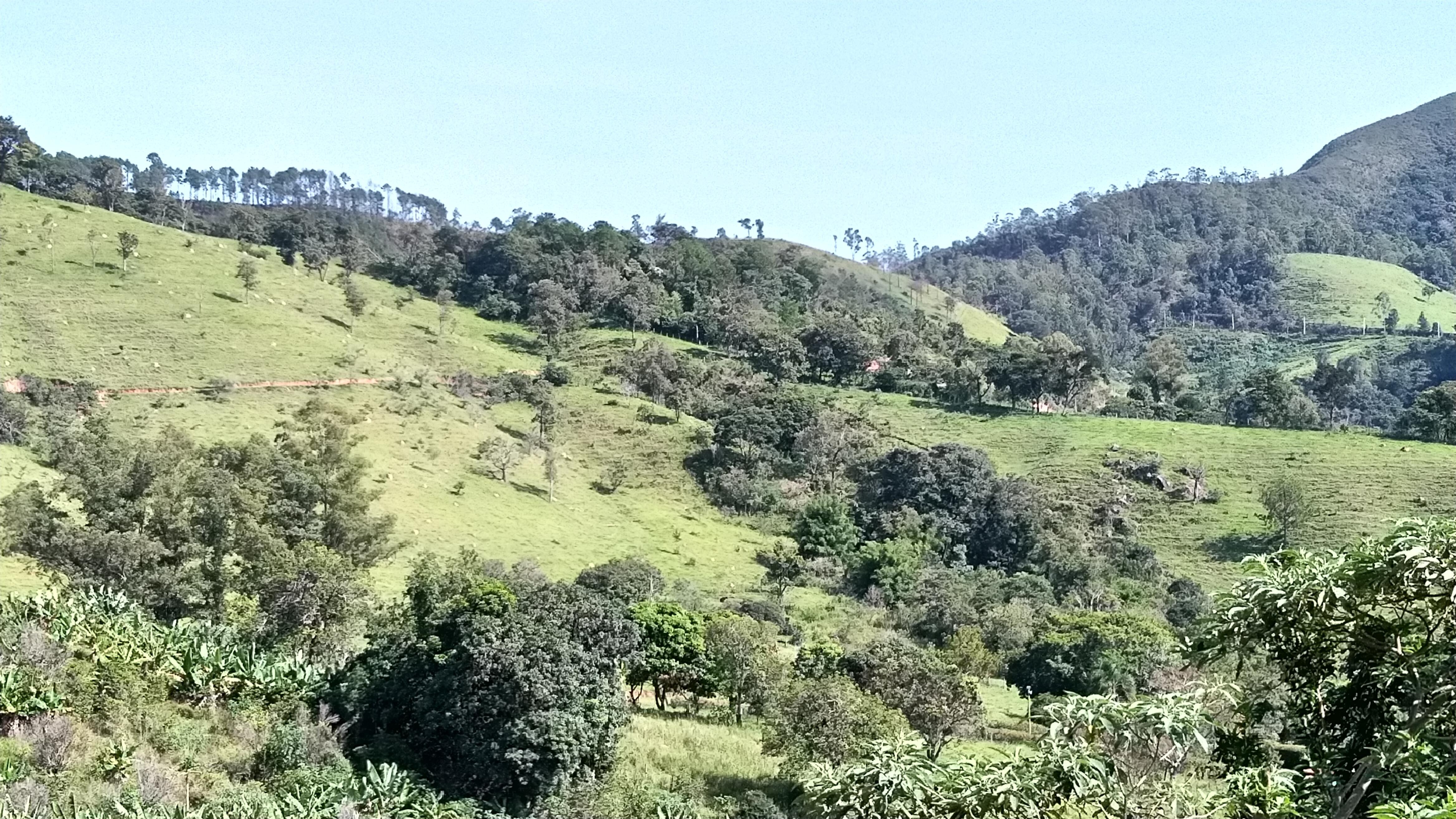 Foto durante caminhada