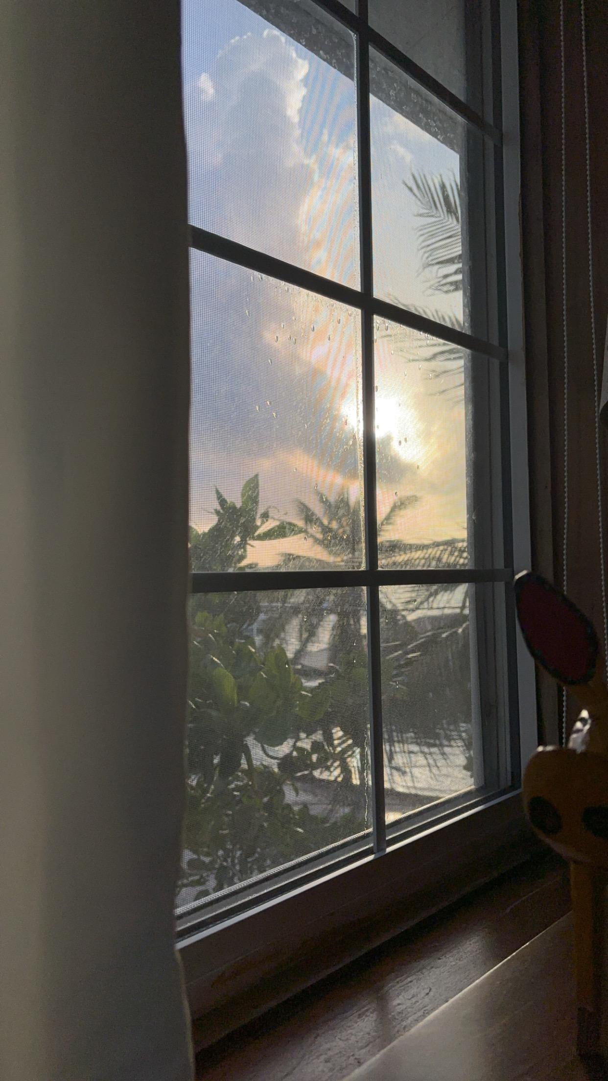 View of the sunrise from the bed ! 