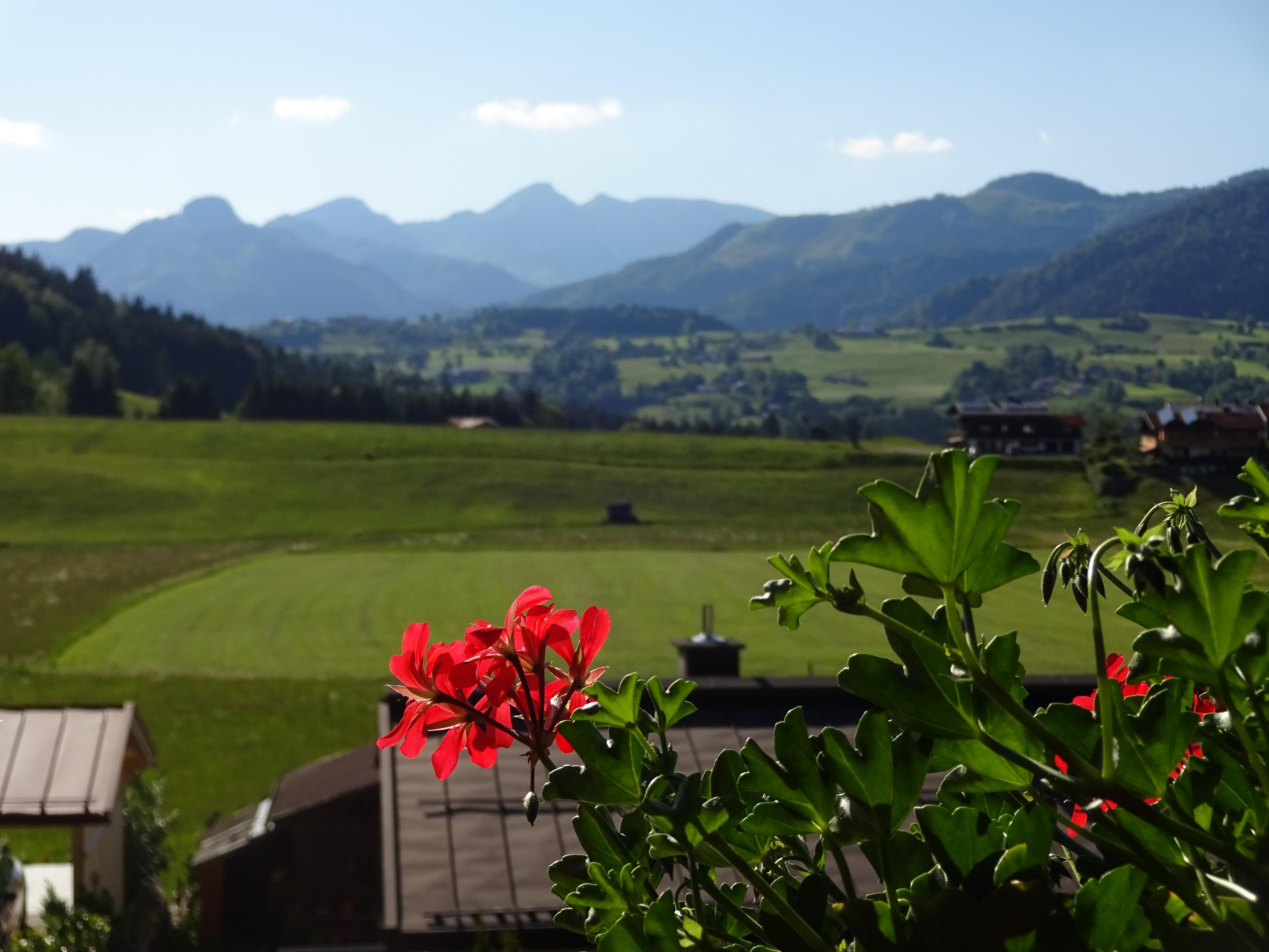 Blick von unserem Balkon