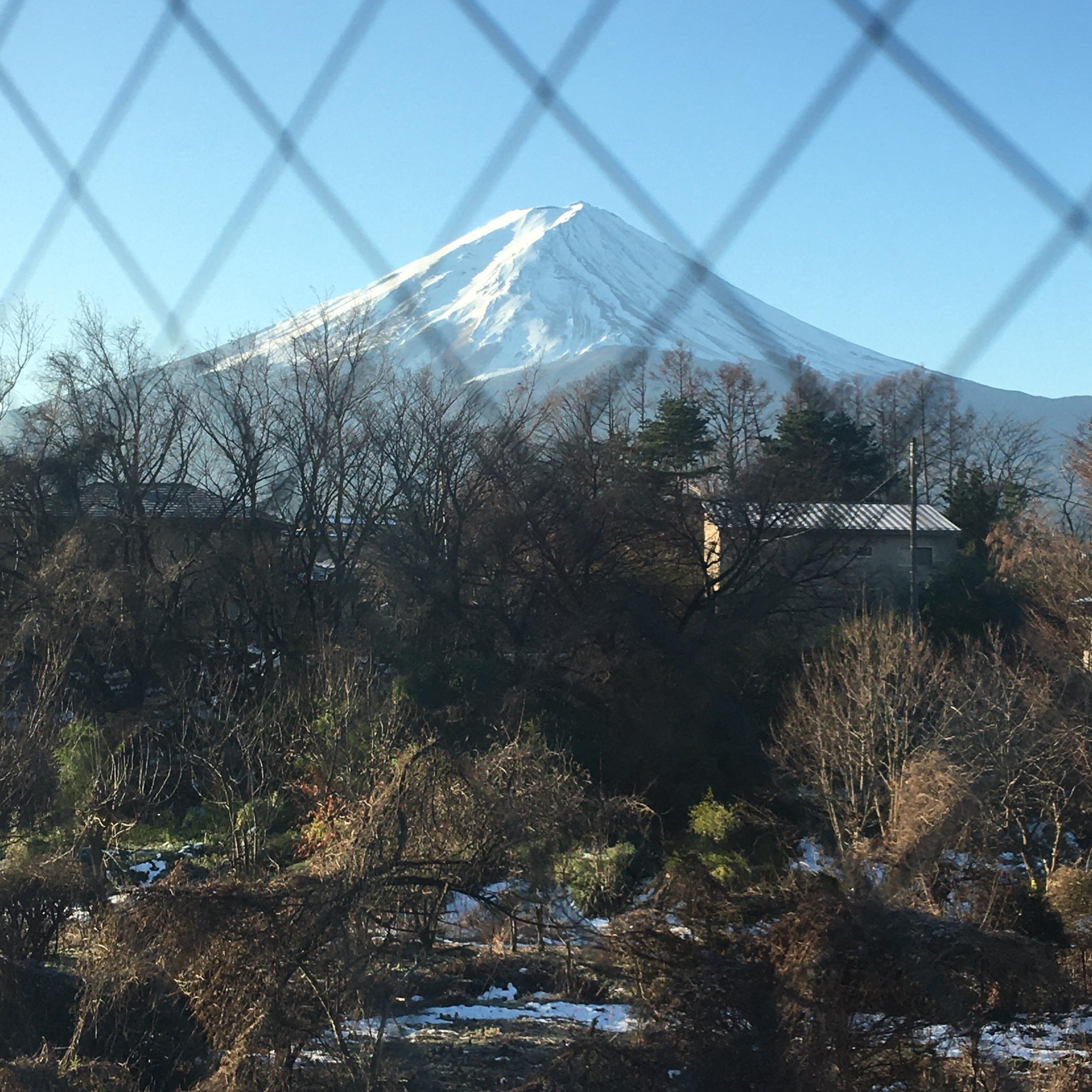 可以看到富士山