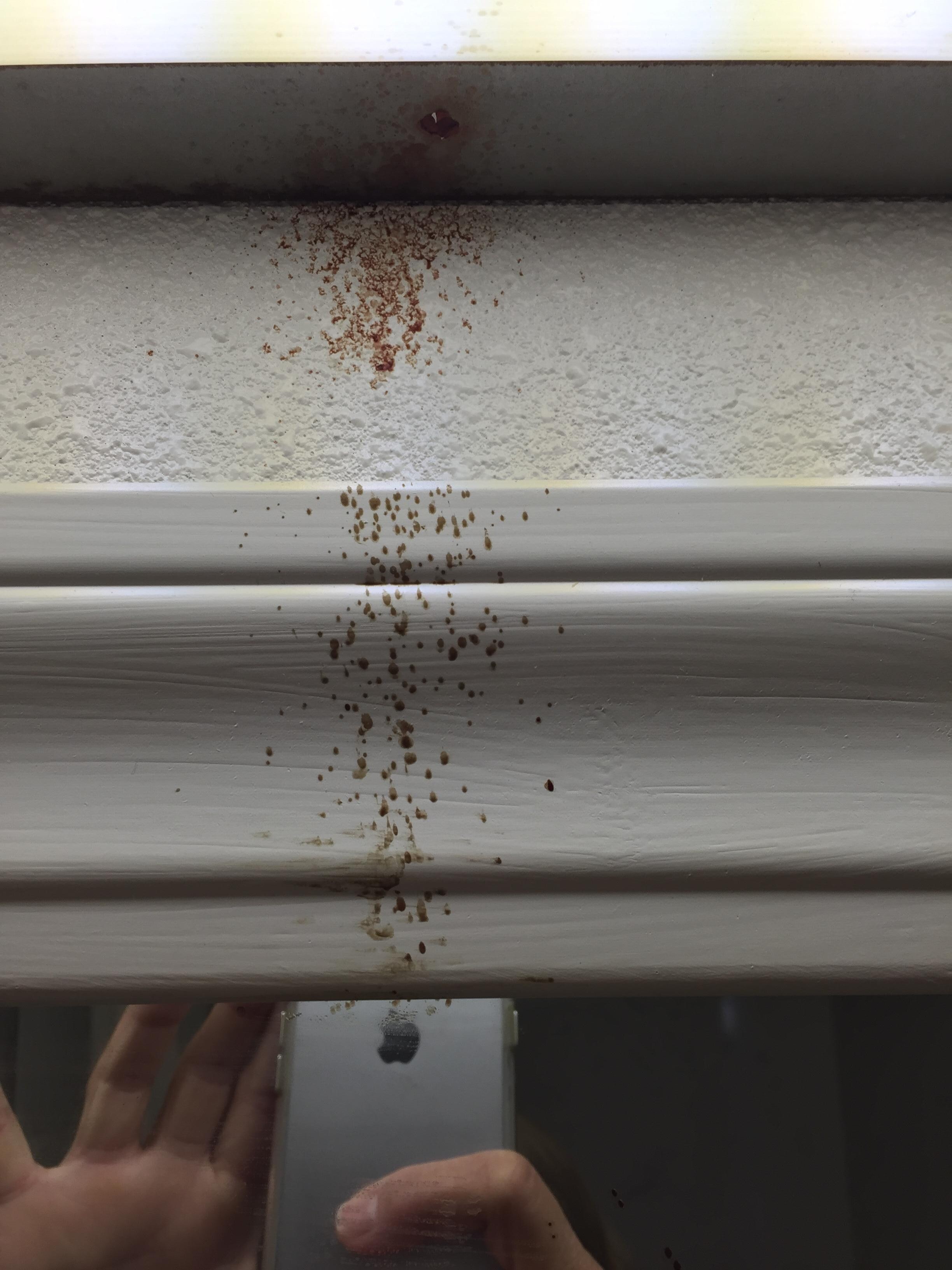 blood squirted above mirror