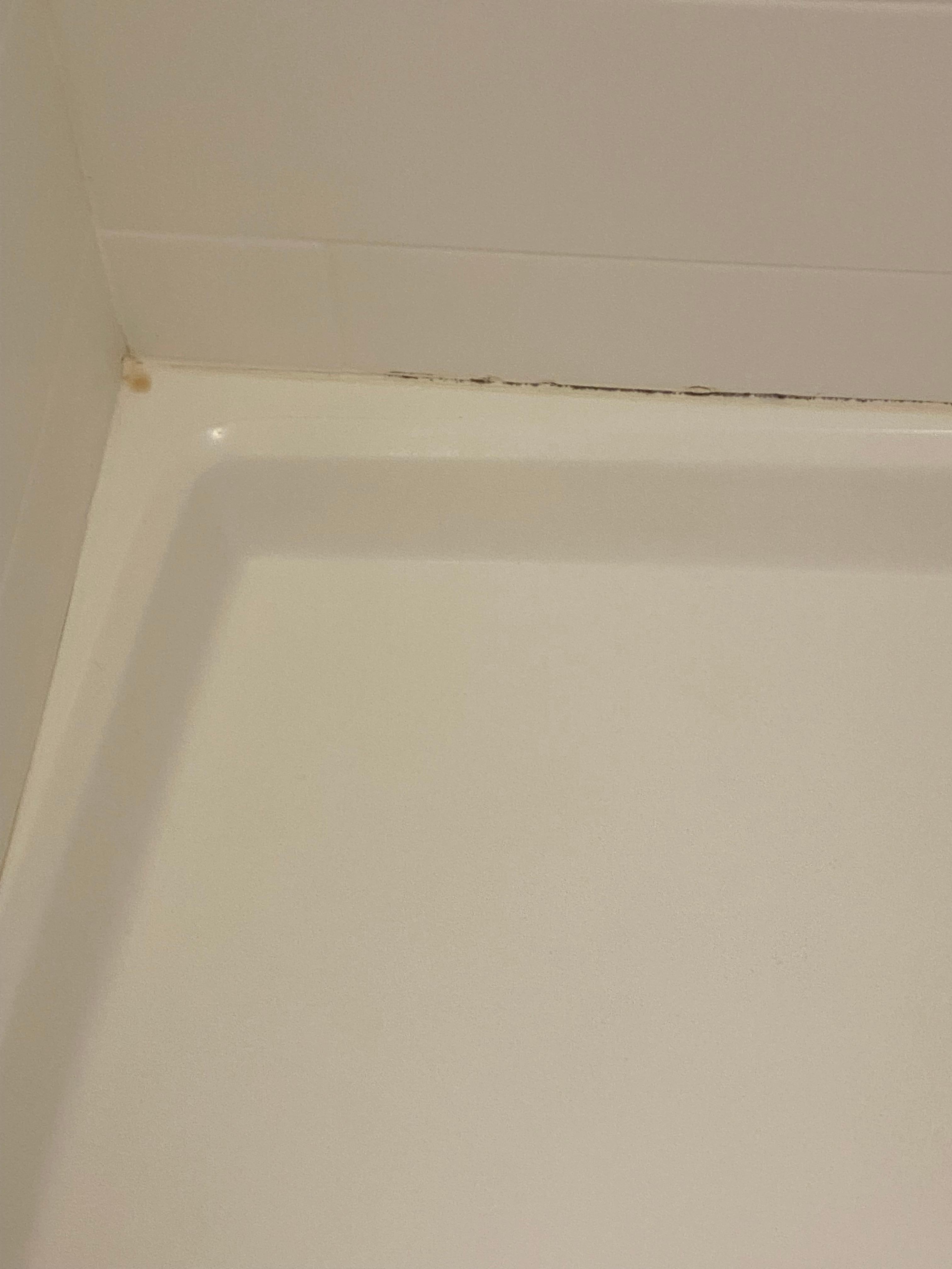 Mold in shower