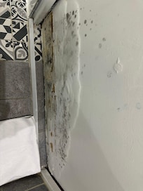 Porte salle de bain moisie