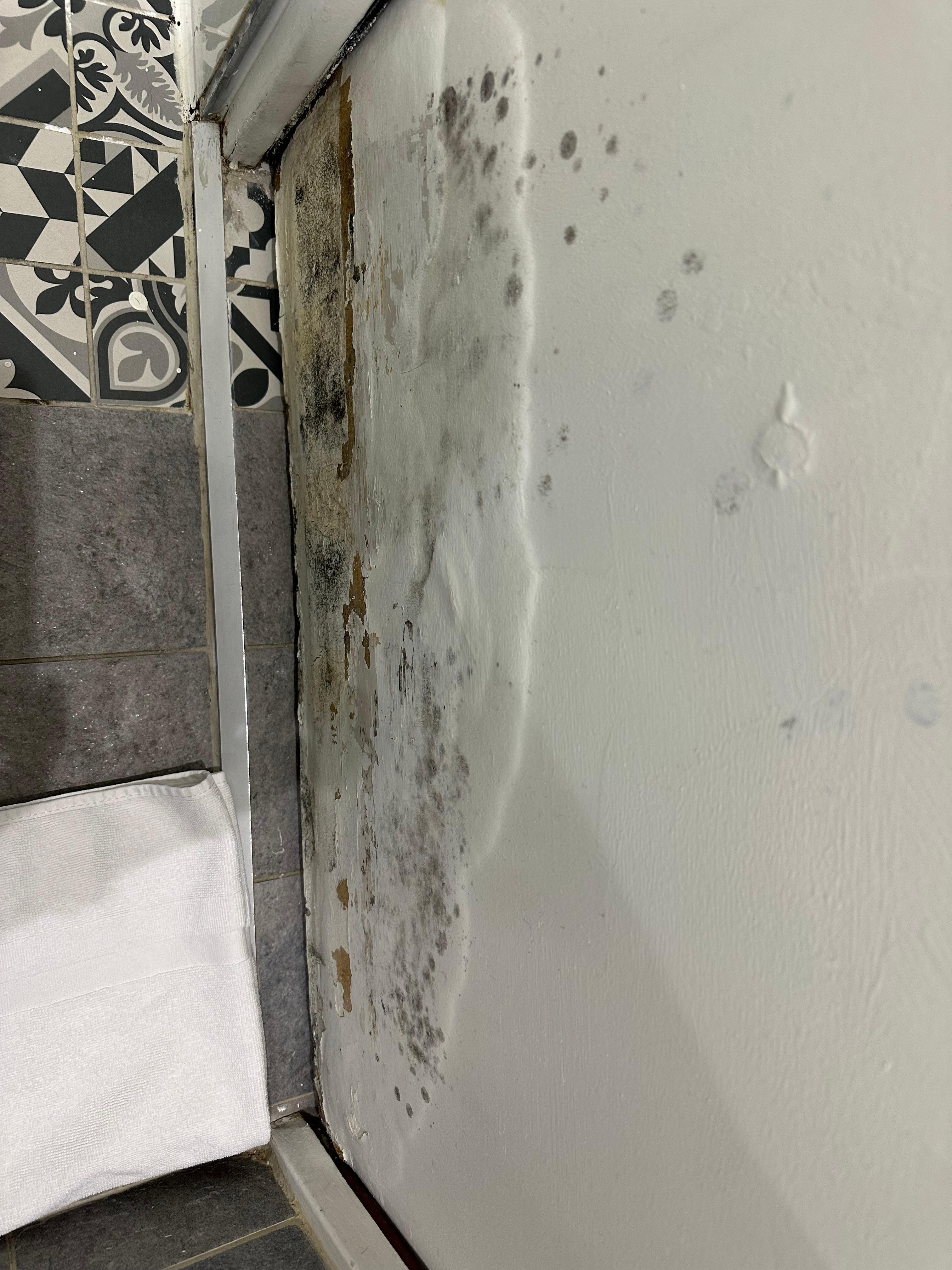 Porte salle de bain moisie