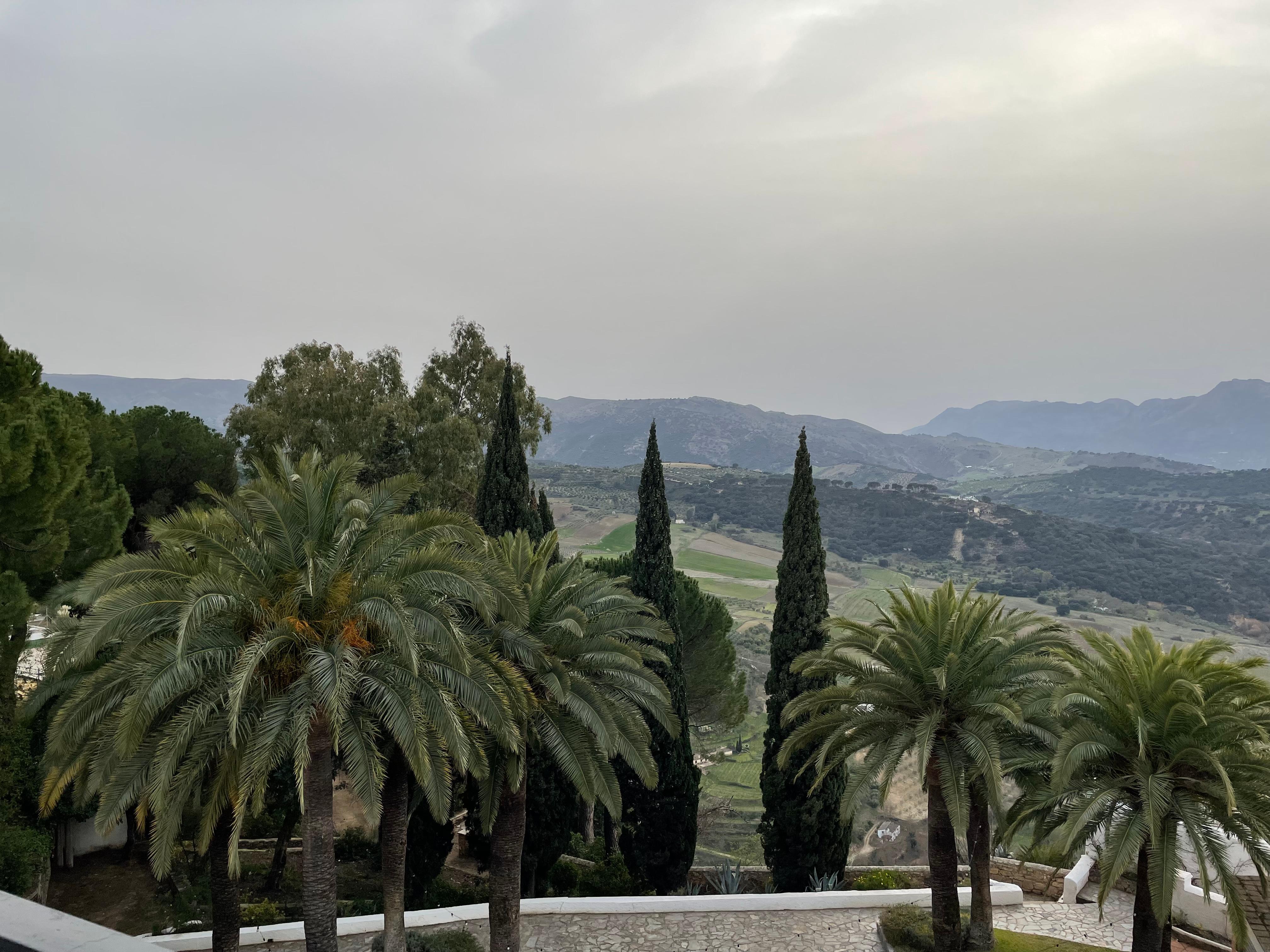 View from our room 