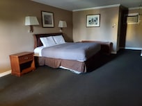 Big room but carpet stains next to bed and on walls