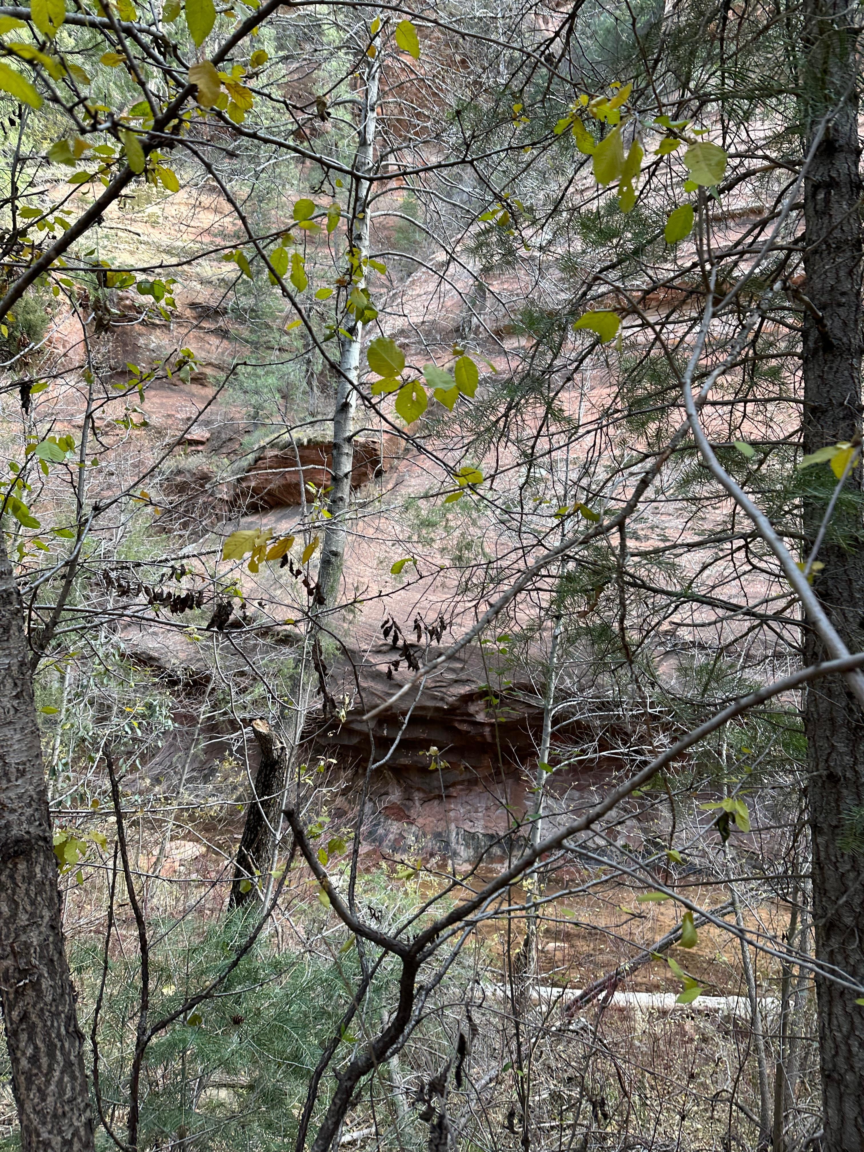 Oak Creek Canyon 3 minute drive from Don Hoels Cabins.