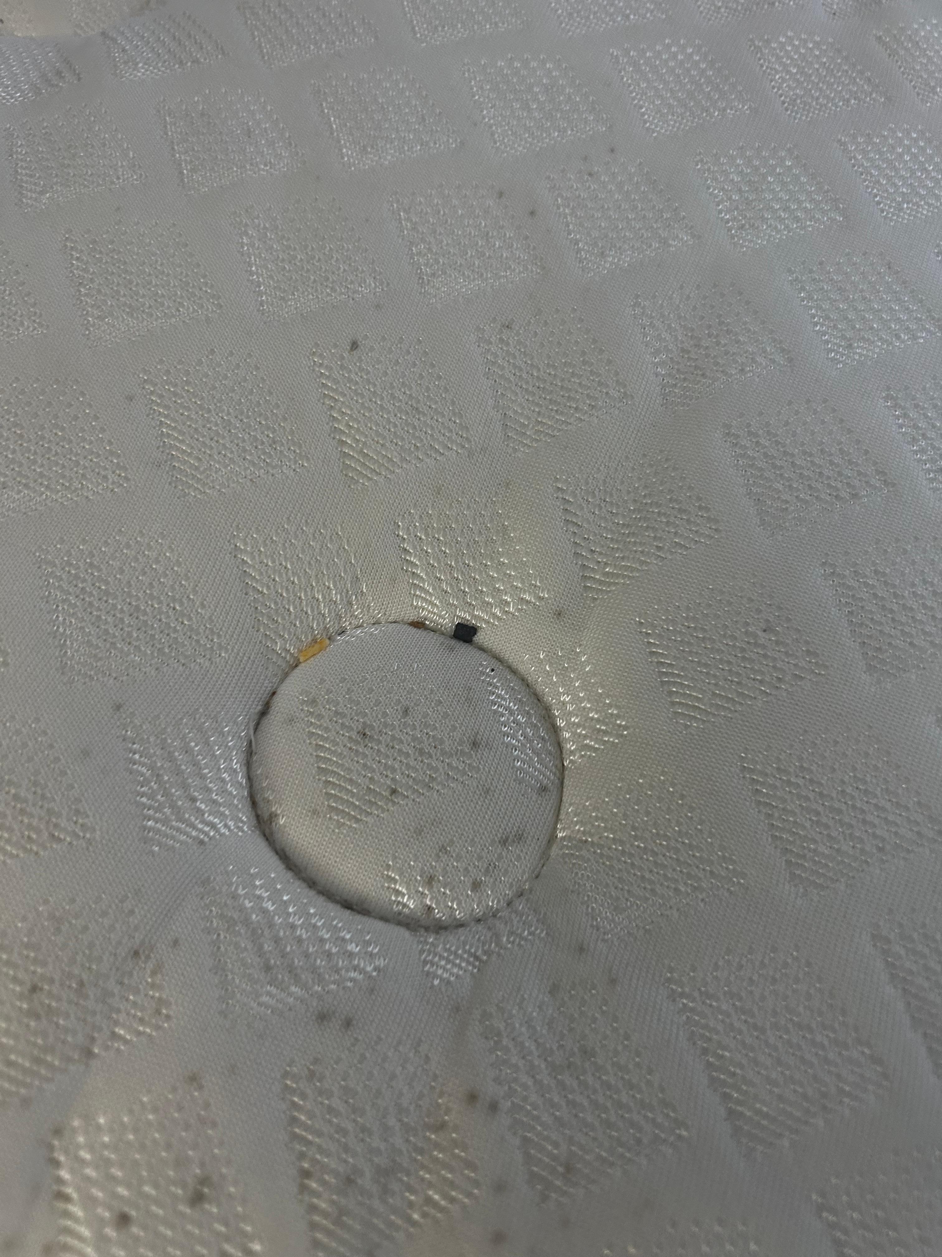 Mold in bedbugs