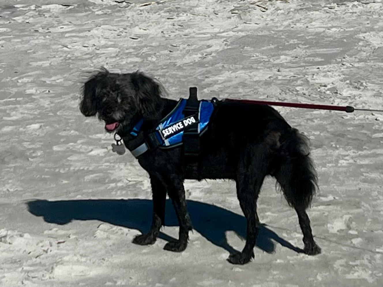 The Red Roof Inn was pet/service dog friendly