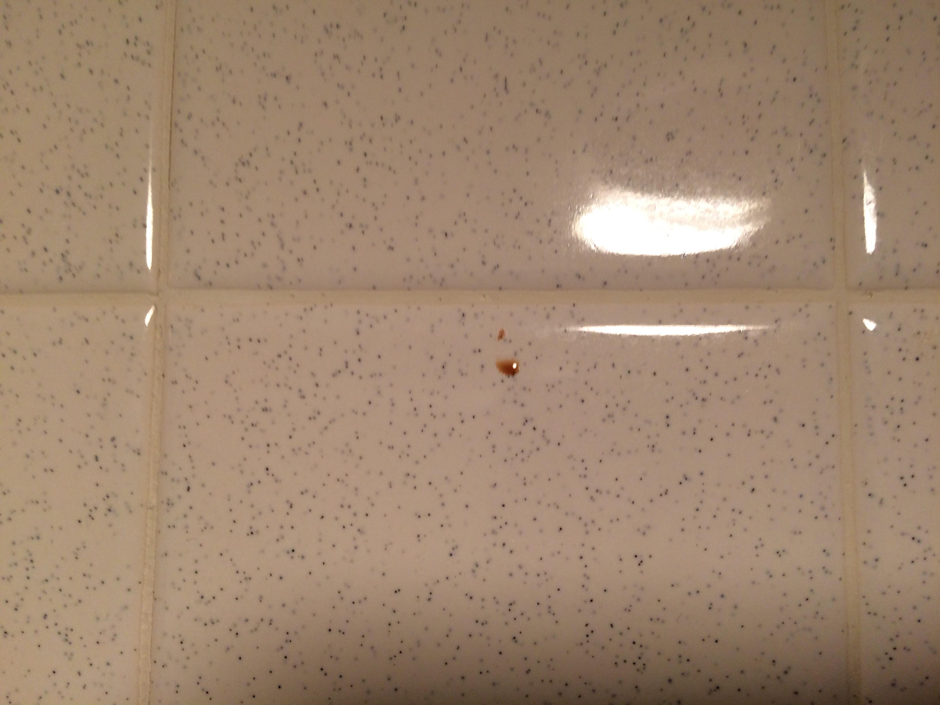 This is blood it was all over the upper side of the bathroom