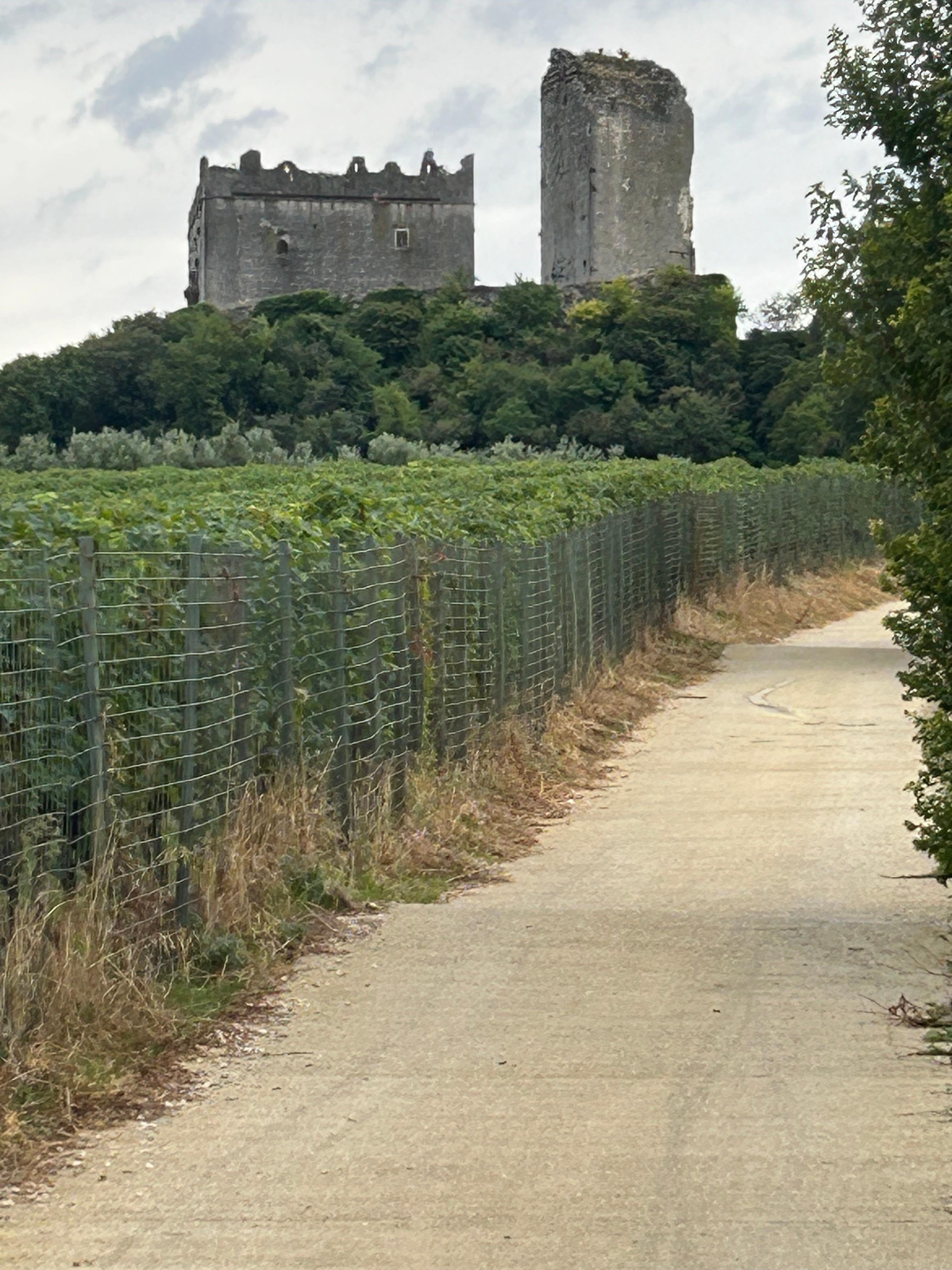 Short 20 minute walk up to the castle gate.