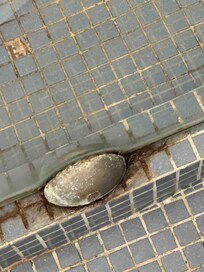 Extreme dirtiness in shower floor