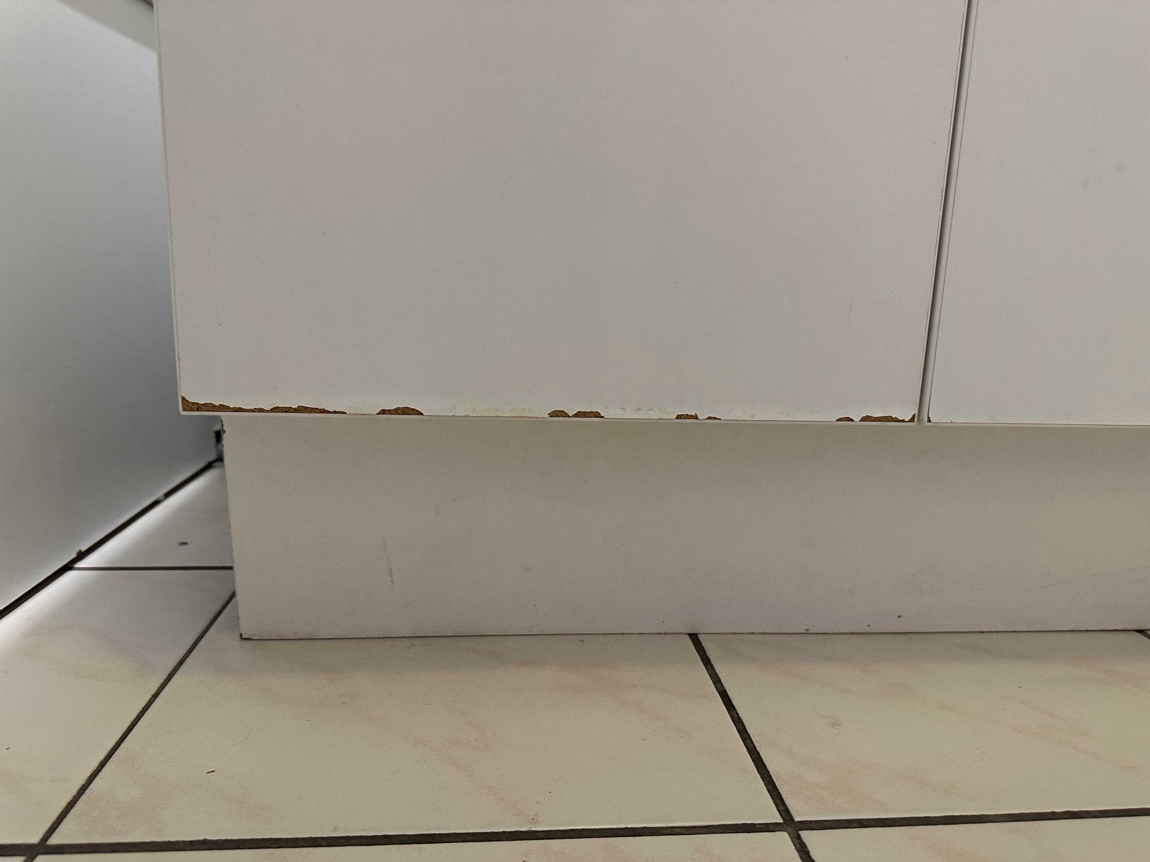 rotting cabinets