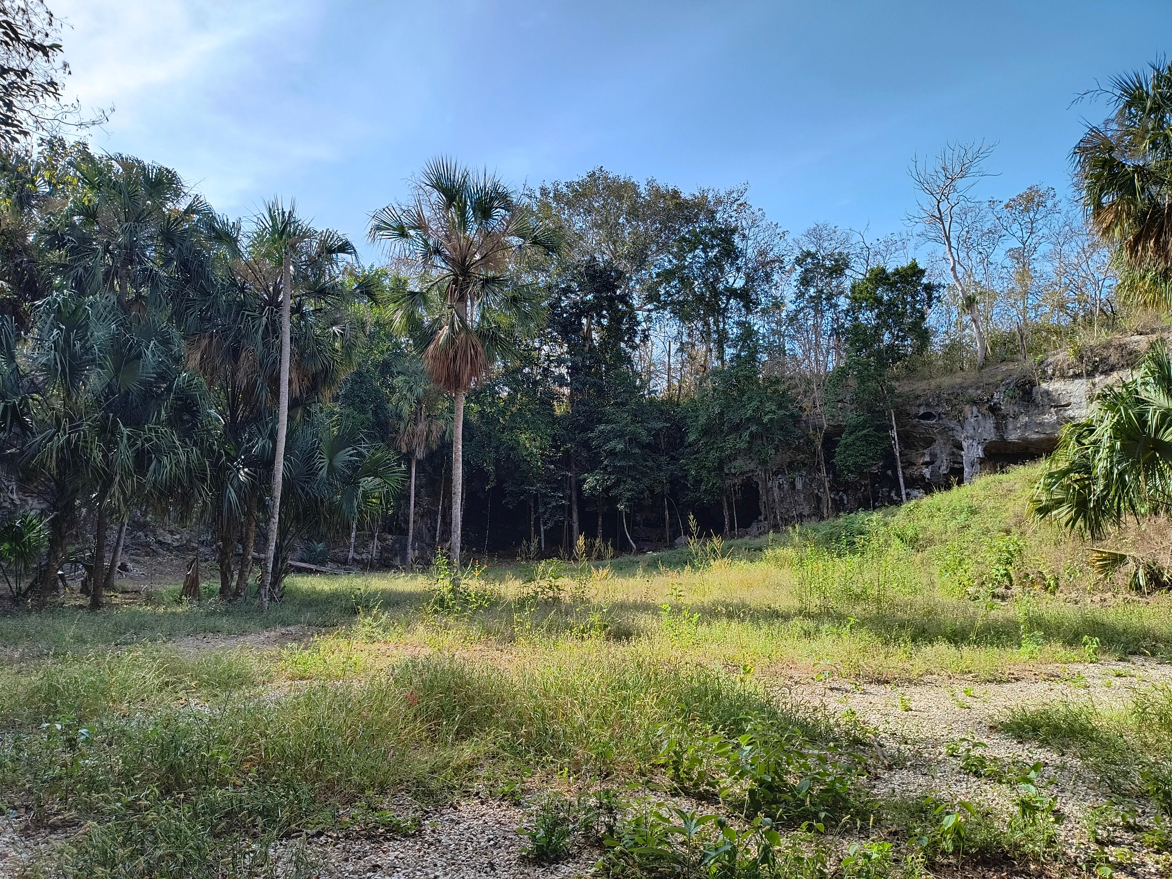 Cenote 2 de adentro