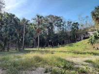 Cenote 2 de adentro
