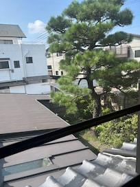 Large window view, quiet neighborhood