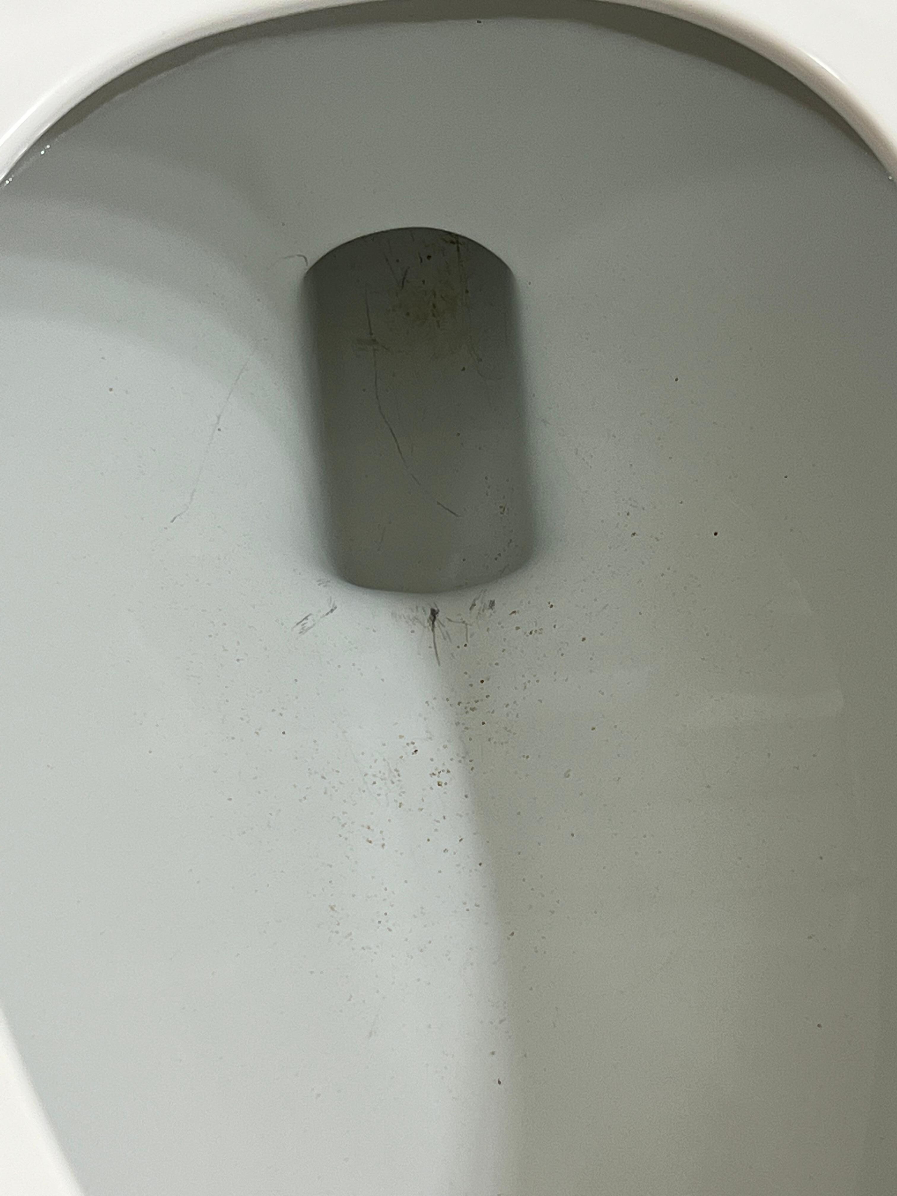 Rust stains in toilet