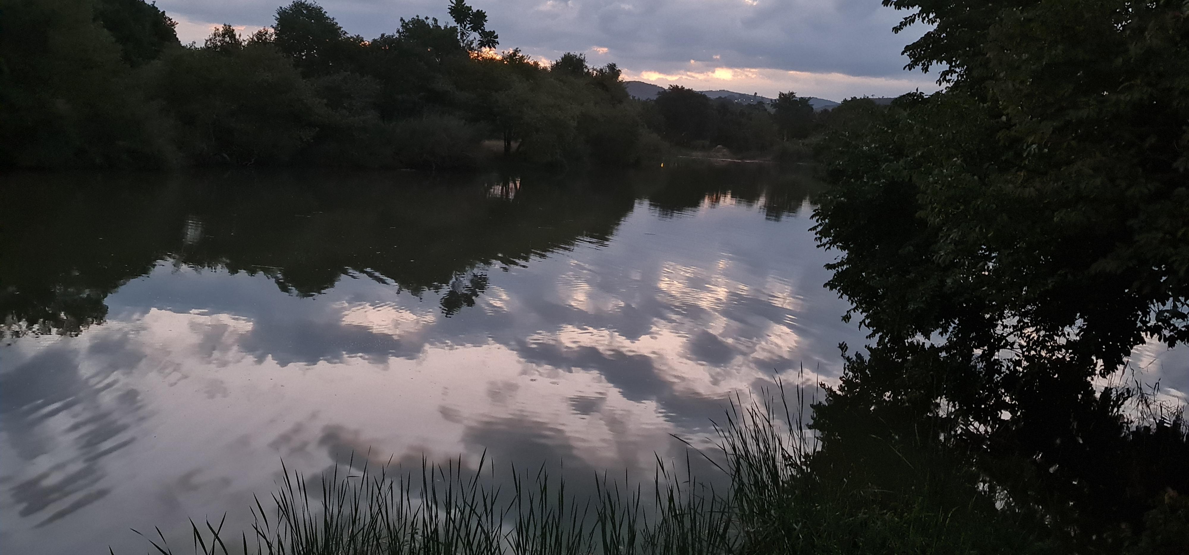 Hippo pool 